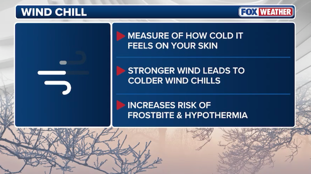 Analysis: why wind chill is so important