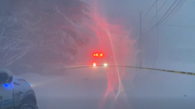 MA town fire department warns of fallen power lines in must-watch video