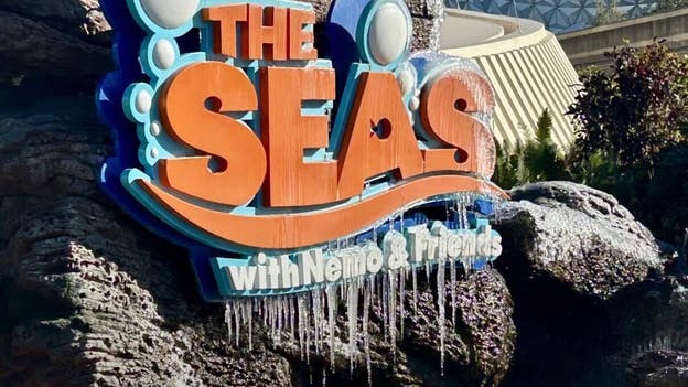 Florida Freeze: Icicles spotted in Walt Disney World in Orlando, Florida
