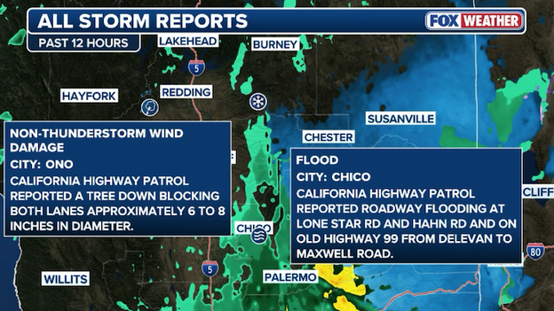 California on alert as heavy rain floods area roads, downs trees
