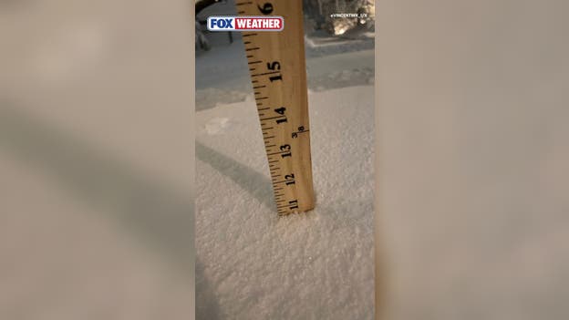 More than 10 inches of snow observed in Sea Cliff, New York on Long Island