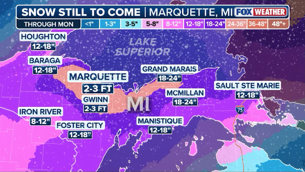 FOX Weather Ground Truth: Robert Ray reports from the heart of the Midwest blizzard