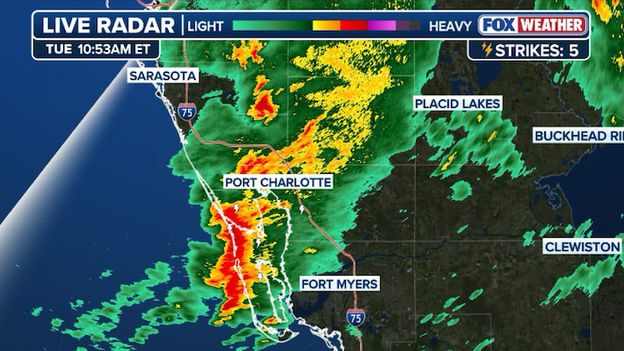 Torrential rain slams Port Charlotte as heavy storms inundate Florida's Gulf Coast