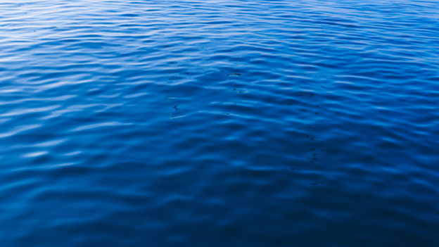 Boaters and fishers beware: Sewage water released into local Michigan river due to water overflow