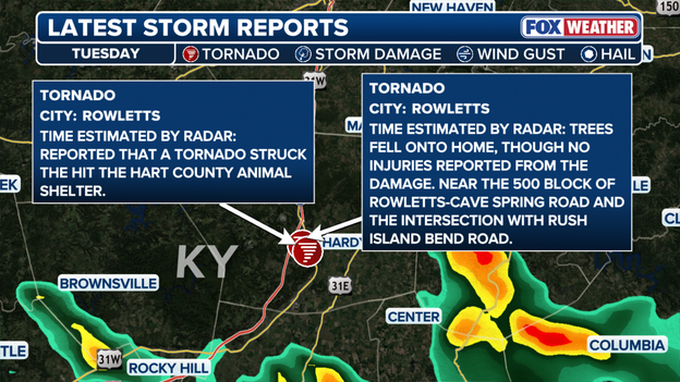 Reported tornado damages Kentucky animal shelter, all animals safe