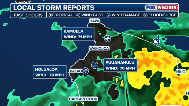Strong wind gusts batter the Big Island as Hurricane Lala approaches