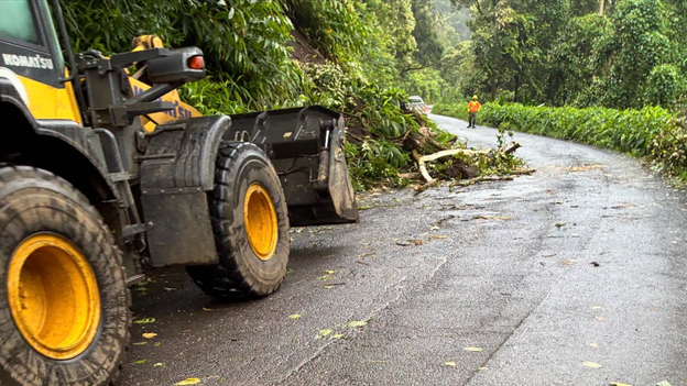 Downed tree blocks lane on Hana Highway on Maui
