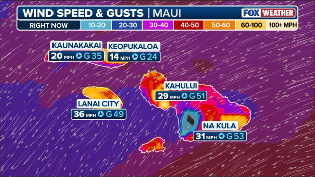 50 mph winds whip Maui as Hurricane Lala spins closer