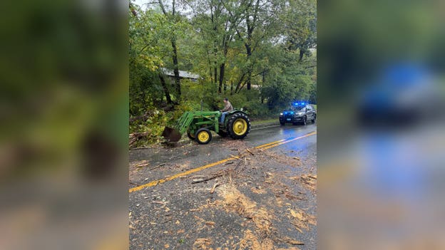 Massachusetts resident helps clear nor’easter-downed trees
