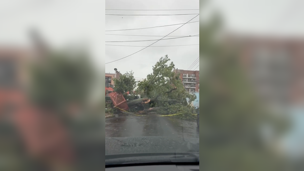 More than 1,000 downed tree reports across NYC as nor’easter winds pummel the Big Apple