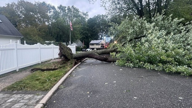Deadly nor’easter knocks down trees across New York City, Long Island
