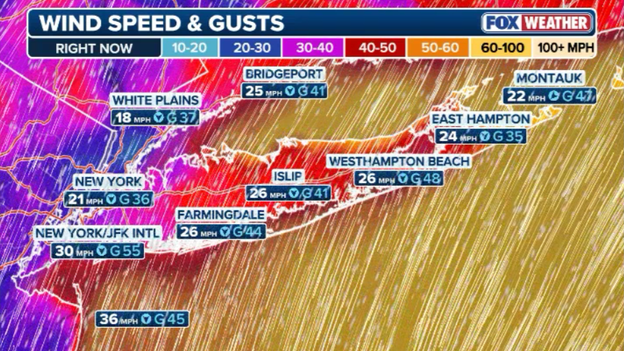 Long Island hit by damaging winds as gusts reach 55 mph at major airport
