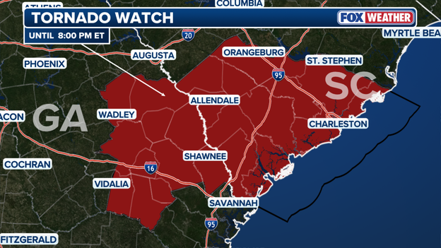Tornado Watch issued for Georgia & South Carolina until 8 p.m. ET