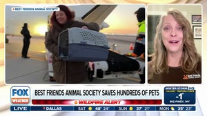 Best Friends Animal Society saves hundreds of pets impacted by California wildfires