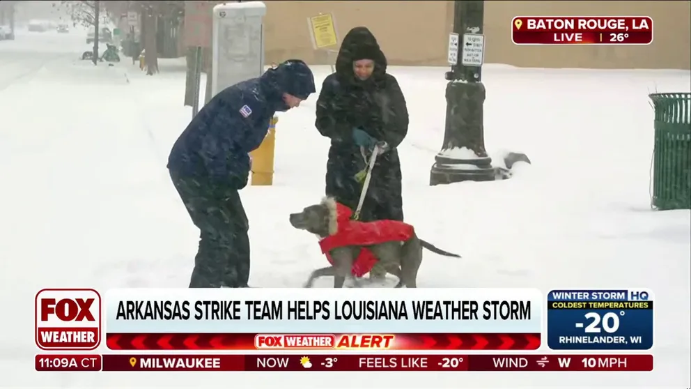 FOX Weather's Mike Seidel meets a dog who sees snow for the first time ...