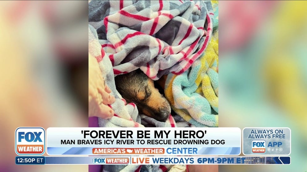 FILE – The snowy landscape of Berlin, Vermont, witnessed a heartwarming act of heroism when a local man braved the frigid Winooski River to rescue a struggling dog. Chris MacRitchie joins FOX Weather to detail what happened.
