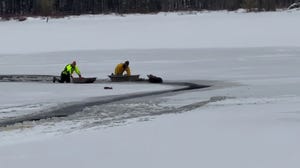 Watch: Moose rescued after falling through icy lake in New York 