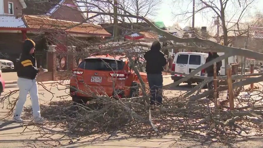 Strong winds knocked down tree branches in Boston, MA as clipper system moved through Northeast