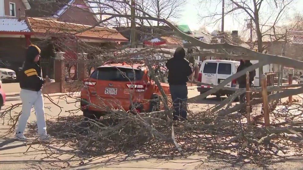 Crews in Boston, MA had to use chainsaws Tuesday afternoon to remove downed trees as a quick-moving clipper system brought high winds to the Northeast (Video Credit: WBZ/NNS).