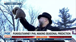 Did Punxsutawney Phil see his shadow?