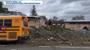 High winds from atmospheric river brings down trees at Sonoma County, California school