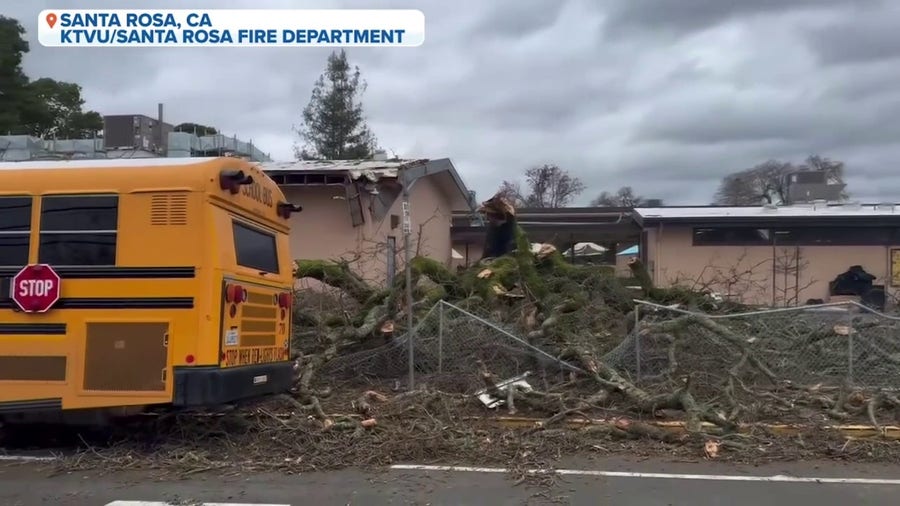 High winds from atmospheric river brings down trees at Sonoma County, California school