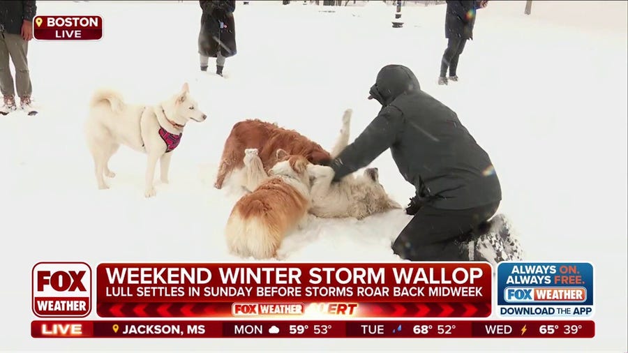 Snow makes Boston Common look like winter wonderland