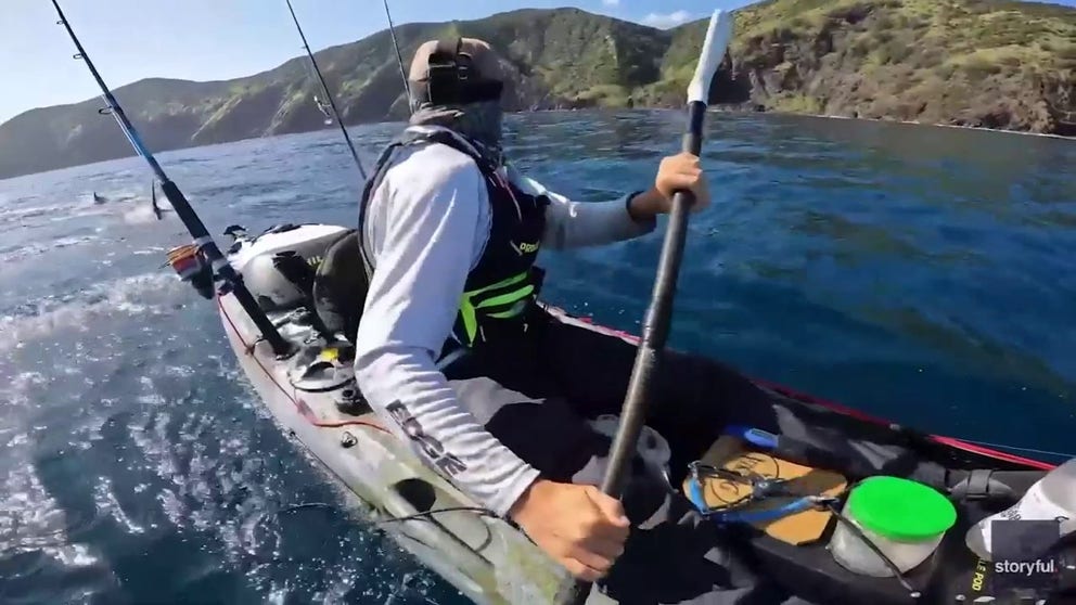 A kayaker escaped after being chased by a great white shark off the coast of Northland, New Zealand (Video Credit: Matthew John Patrick Wells via Storyful).