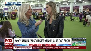 Janice Dean speaks with FOX Sports Host Jenny Taft at the Westminster Dog Show