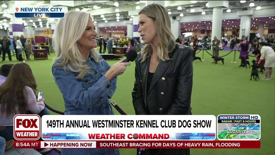 Janice Dean speaks with FOX Sports Host Jenny Taft at the Westminster Dog Show