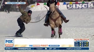 'Snow rodeo' begins as Horse Skijoring returns to Minnesota