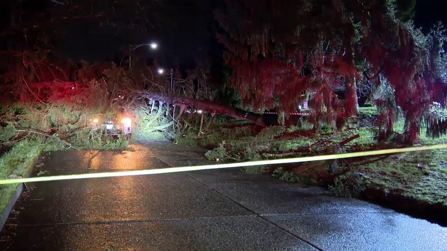 Watch: Car crushed by tree brought down in Seattle during powerful atmospheric river storm 