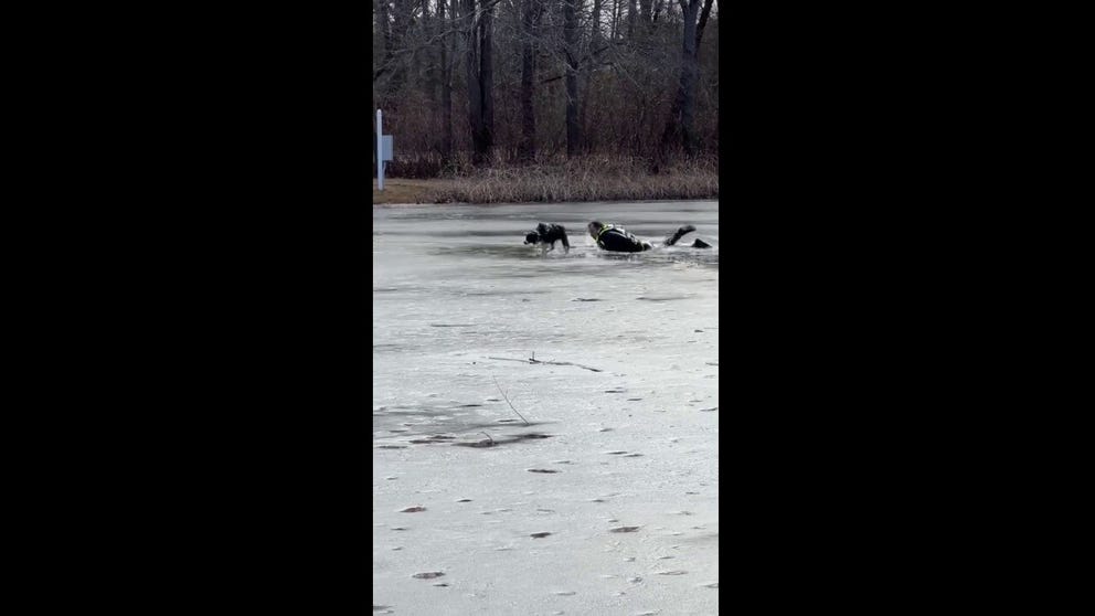 A patrolman from the Hazlet Township Police Department, NJ lifted a dog that had gotten stuck in the unfrozen part of a lake Wednesday (Hazlet Township Police Department/Facebook).