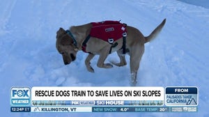 FOX Weather Meteorologist Bob Van Dillen is in Olympic Valley, California to share the latest on the snow and avalanche safety