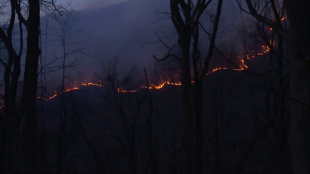 A video shared from North Carolina shows a wildfire burning in the community of Tryon on Saturday, March 1, 2025.