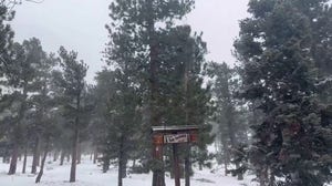 The winter weather continues as Lee Canyon, Nevada is blanketed by snow 