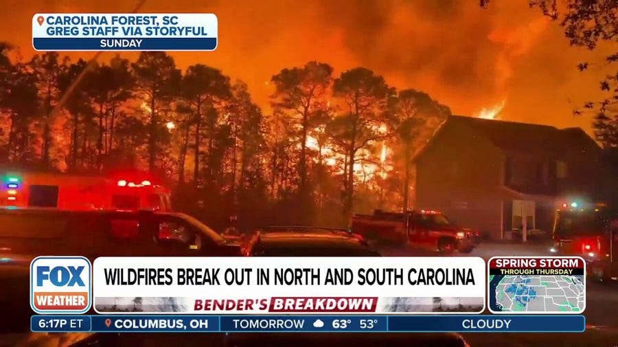 South Carolina woman shares experience fleeing during wildfire