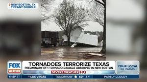 Texas safari and lodge owner recounts tornado experience