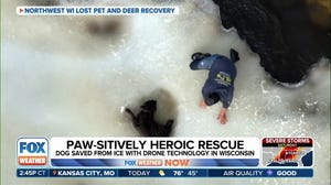 Thermal imaging helps save dog from melting ice in Wisconsin