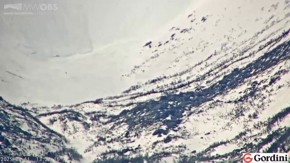 Video captured by the Mountain Washington Observatory in New Hampshire shows a snowboarder racing ahead of an avalanche in Tuckerman's Ravine.