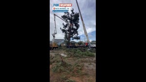 Crews work to clear debris after tornado in Los Angeles County