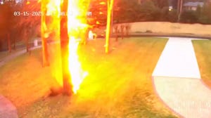 Watch: Lightning strike fries, explodes tree near Nashville home