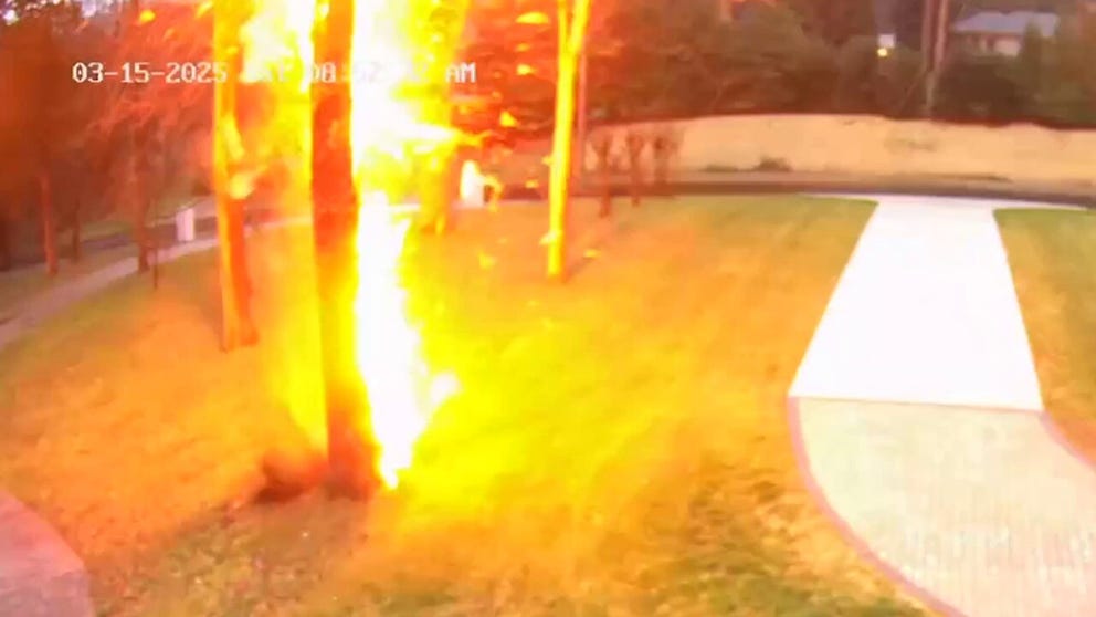 A tree in a Nashville neighborhood exploded after a bolt of lightning struck it recently, sending shards of bark and wood flying into the air. 