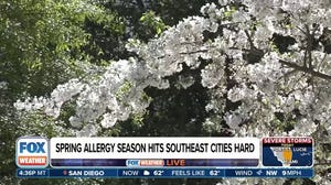 A look at the progress of the spring allergy season