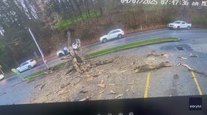 A woman is lucky to be alive after traveling through Kennett Square on Monday when a large tree collapsed onto her car