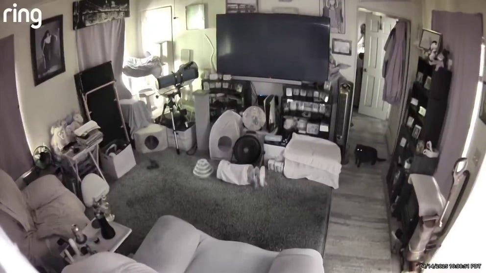 According to USGS, the earthquake has a magnitude of 5.2 in strength. Video from a Ring camera shows shaking inside a San Diego home and a startled cat.