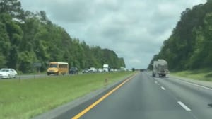 Kangaroo on the loose on a Alabama highway