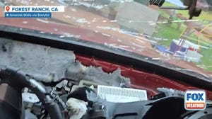 Bear completely shreds family vehicle 