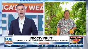 How one farmer is growing tropical fruits in Utah