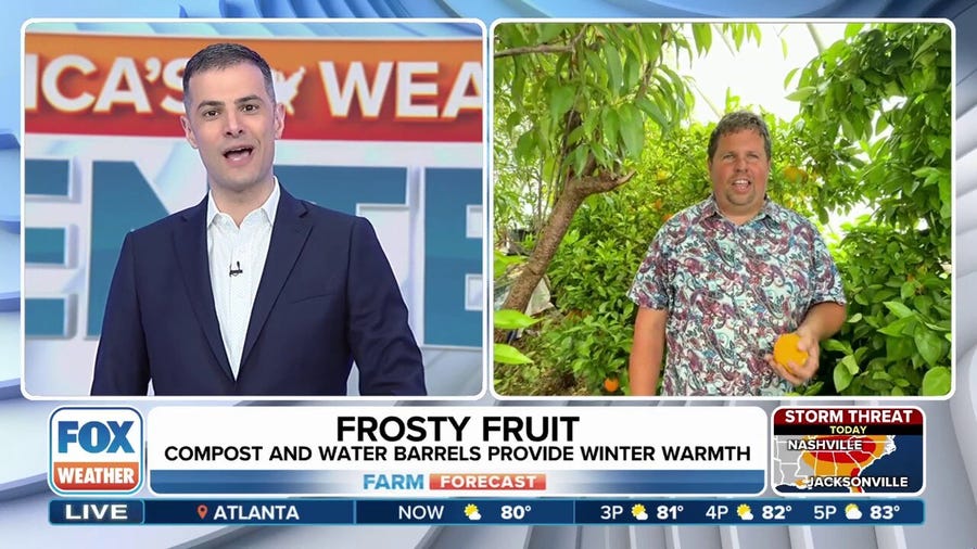 How one farmer is growing tropical fruits in Utah